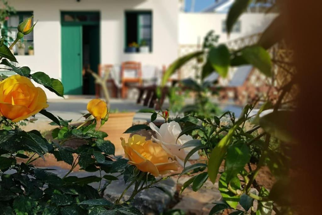 Erofili Cottage House Elounda  Exterior photo
