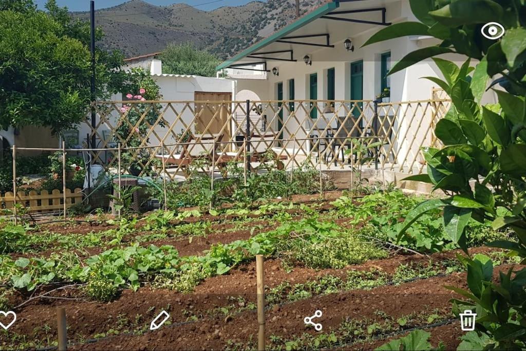 Erofili Cottage House Elounda  Exterior photo